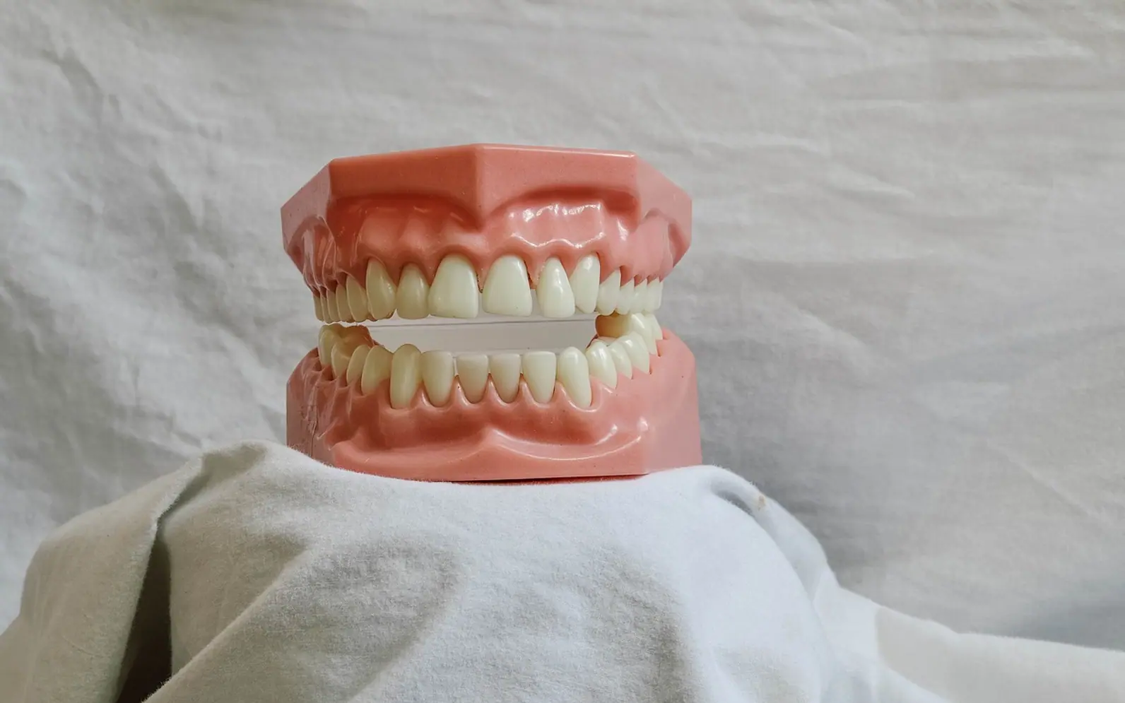 Teeth, dental and dental model